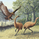 Two moa flee a Haast’s eagle.